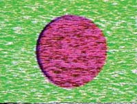 noisefields